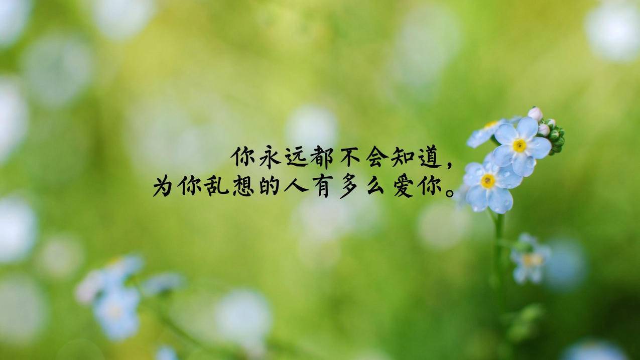 hero-image
